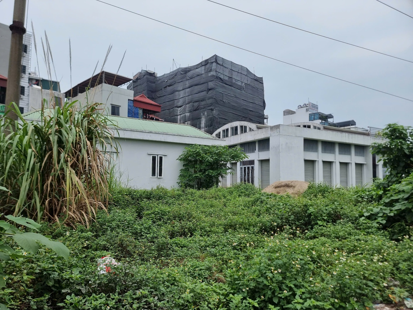 bên trong chợ dân sinh Hà Nội bỏ hoang Xuân Phương cỏ mọc um tùm không hoạt động