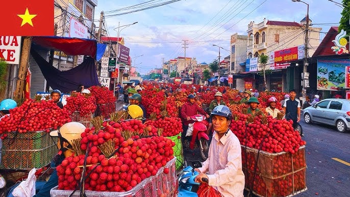 Người dân mua vải thiều tại chợ Chũ Bắc Ninh trong mùa vụ tiêu thụ nông sản